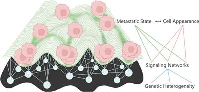 Quantitative cell imaging approaches to metastatic state profiling